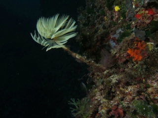 Soggiorno Elba 2016